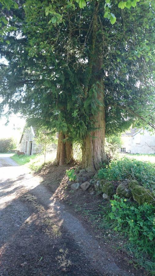 Ferme De La Grange Du Bas Villa Saint-Bresson Екстериор снимка